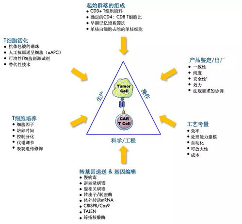 car t细胞治疗产品生产的挑战和考量